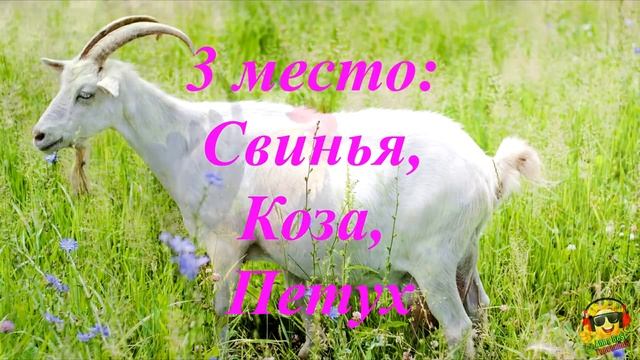 Самые Везучие Знаки Зодиака по Восточному Гороскопу!!!