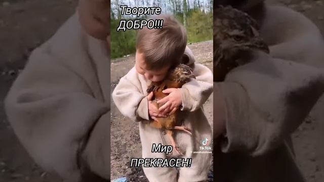 Сегодня Бог проснулся утром рано... смотреть онлайн