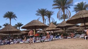 Путешествие в Египет -ч.4 -Обзор пляжа и итог по  отелю Maritim Jolie Ville Resort & Casino 5*)