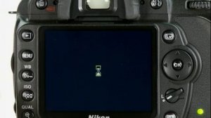 Nikon D90 Instructional Guide By QuickPro Camera Guides