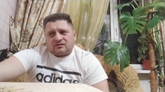 Какую выбрать породу поросят для свиноводства?!?