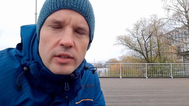 Почему голуби кивают, когда ходят? смотреть онлайн