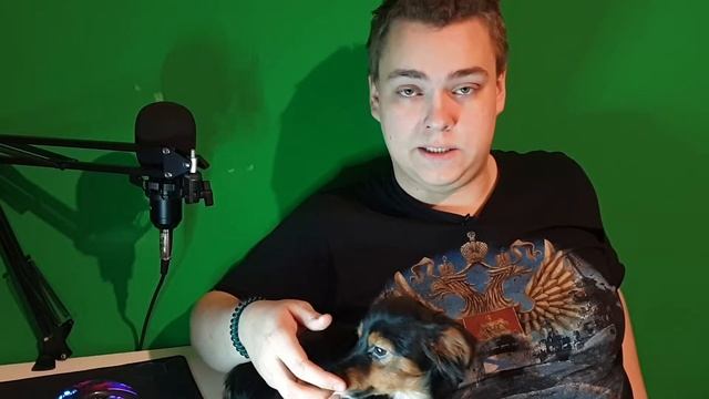 ПОЧЕМУ СОБАКИ БЕГАЮТ БОКОМ?!