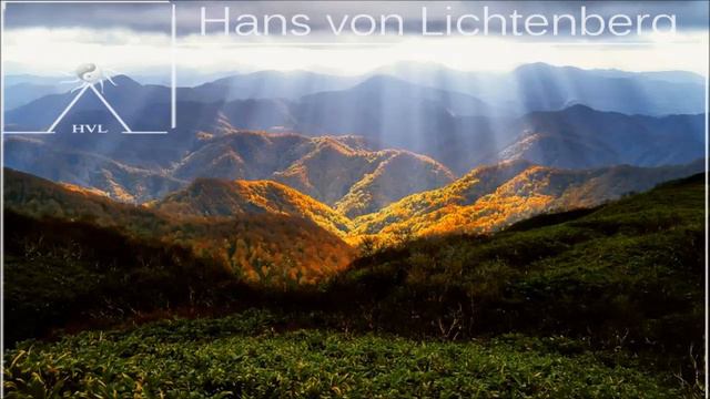 TUNES OF THE FOREST - Mystical Songs (Flow-State to read, study, meditate, focus, learn, sleep, d.. смотреть онлайн