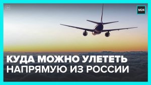 В АТОР рассказали, во сколько стран можно улететь напрямую из России - Москва 24