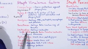 Staphylococcus Part 2 of 5