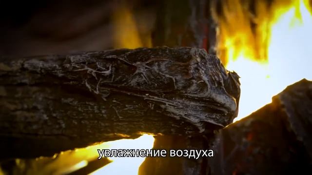 Электрокамин с натуральным эффектом живого огня 3D Cassette 1000 (декоративные дрова).