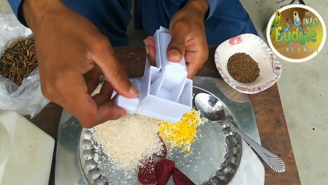 White java sparrow breeding tip!How to make soft food for finches!#sparrow #whitejava смотреть онлайн