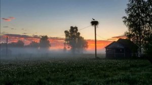 Калина ( из репертуара А. Солодухи)