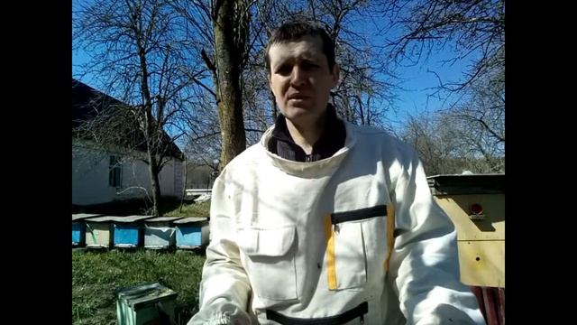 Весной для пчел лучше мед, а не сироп. смотреть онлайн