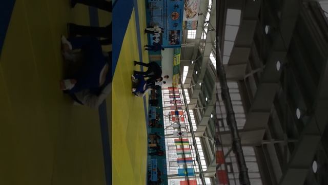 Джиу-Джитсу 2015 международный смотреть онлайн