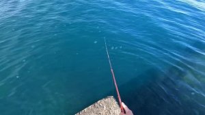 ?ПЕРВЫЙ ПОШЕЛ. Ловля Саргана на Черном Море. Крым. Ялта 2023