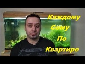 Общежитие для сомов. (Архив от 30.04.2023)