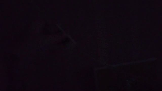 ПРОСНУЛАСЬ В 5 УТРА В ВЫХОДНОЙ ДЕНЬ | vlog | моё типичное утро смотреть онлайн