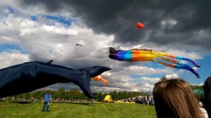 Фестиваль воздушных змеев / kite festival 2017 Moscow