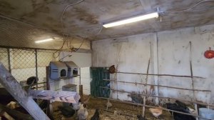 СЕЛЬЧАНКИ В АМЕРИКЕ!!! ДЕРЕВНЯ В США !!!