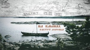 Вольгаст&Очелье Сороки "На камнях растут деревья" ©