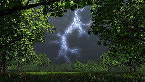 Диктант для 2 класса 'Гроза' с проверкой