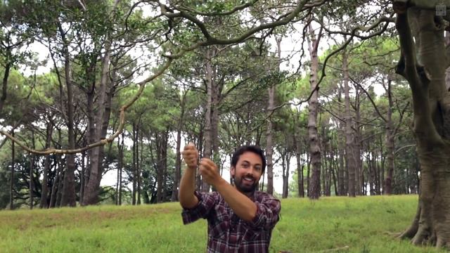 Как обогнать свет_ [Veritasium](1080P_HD) смотреть онлайн