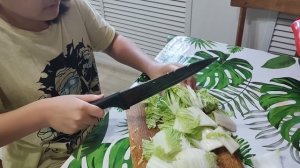 В РОДНОЙ СТАНИЦЕ ЖИВЁМ ЗАГОТАВЛИВАЕМ ЧИМЧИ Шиндр Мындр @ShindrMindr_Official