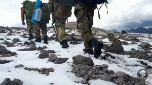 Выше нас только звёзды!🦇