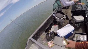 МАНЫЧ.ЖАРА,КЛЁВ СУДАКА.  Веселовское водохранилище 2020.