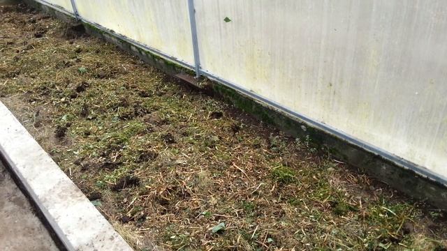 Подготовка теплицы к зиме смотреть онлайн