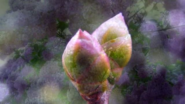 Александр Сиренко НОЧЬ смотреть онлайн