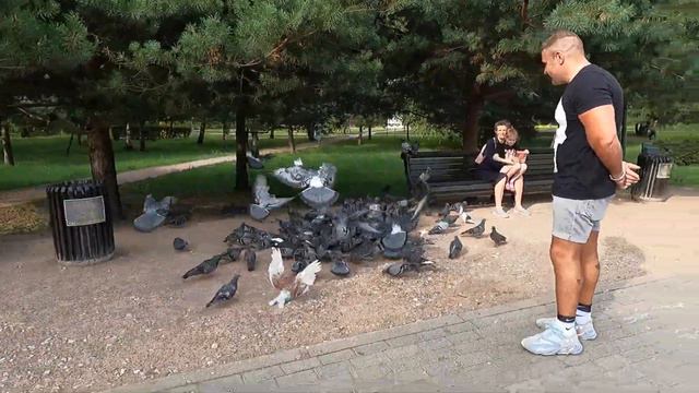 Воронцовский парк. Усадьба Воронцова.   29.07.2021