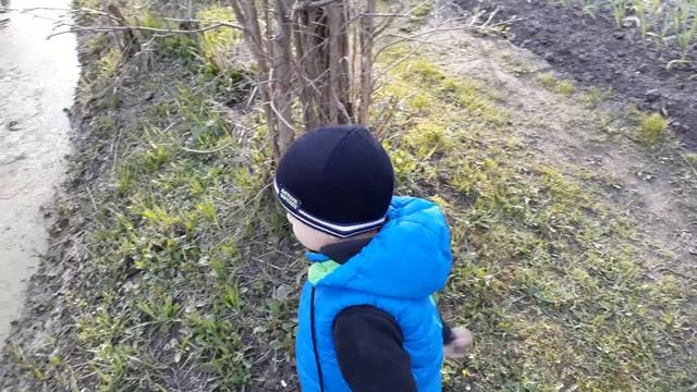 Vlog На даче Потеряли мяч Большой плюх Костер Шашлык  Красивый закат смотреть онлайн