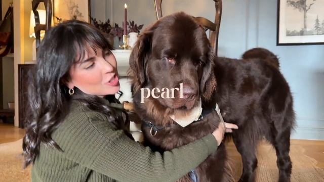 A Cozy Fall Apartment in New York City | a full tour смотреть онлайн