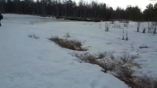 Щука!Пришла весна,мы за тобой смотреть онлайн