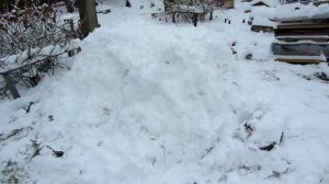 Закапываем ульи снегом для 100% зимовки на воле. Wintering bees in the snow.