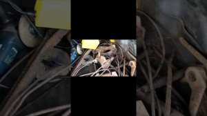Первый коп с металлоискателем ТС 200