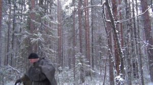 Как натянуть тент не залезая на дерево