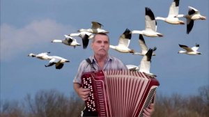 Далеко далеко журавли улетели. на баяне.