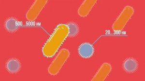 Естествознание 6 класс. Тема урока: Макромир, микромир и мегамир