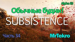 Subsistence (Часть 34! Просто обычные будни!)