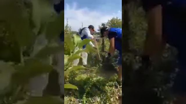 Чингирлауский район смотреть онлайн