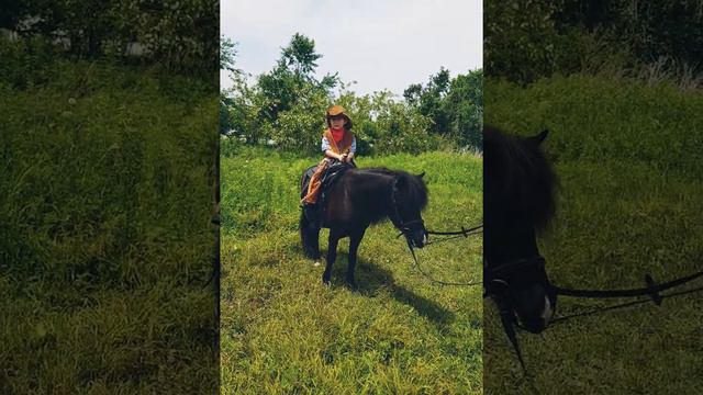 Жизнь состоит из маленьких мгновений... смотреть онлайн