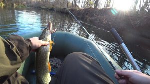 Закрытие Сезона на спиннинг. Ловля щуки в Октябре