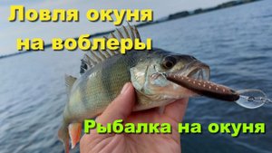 Убийца окуня. Ловля окуня на воблеры. Рыбалка на окуня