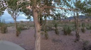 ДИКАРЕМ В ПАЛАТКАХ НА ИССЫК-КУЛЬ. ПОХОД ПО КИРГИЗИИ