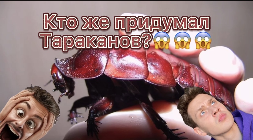Кто придумал тараканов?