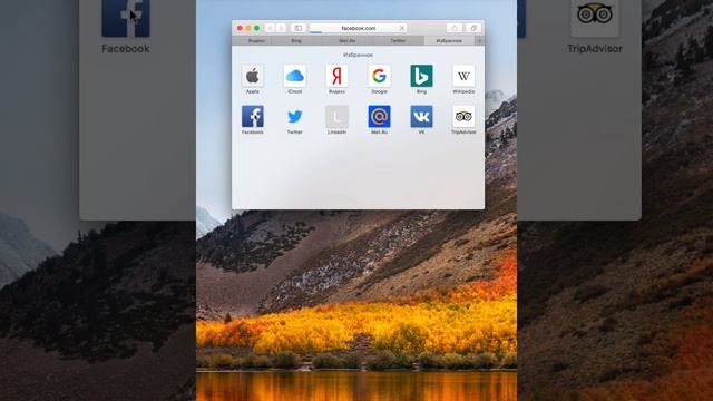 Горячие клавиши Mac Os в Safari за 30 секунд!