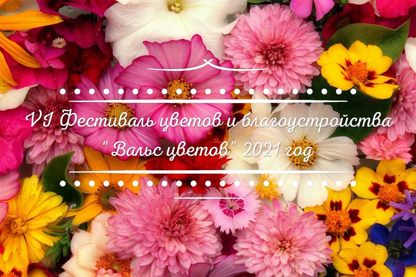 Открытие VIII Ежегодного фестиваля цветов и благоустройства« Вальс цветов» смотреть онлайн