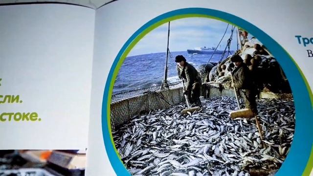 Моя страна Собери Карту России от Hachette Выпуск № 47,48,49/ My country Collect the Map of Russia смотреть онлайн