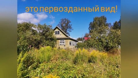 Мотоблок МТЗ ВЕЙМА 13 сил.Вспашка фрезами.#Взаимнаяподписка #вз