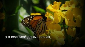 ЗДРАВСТВУЙ СУББОТА ОТ АВТОРА КАРАОКЕ