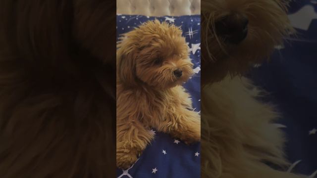 Живи по принципу 3-х простых правел